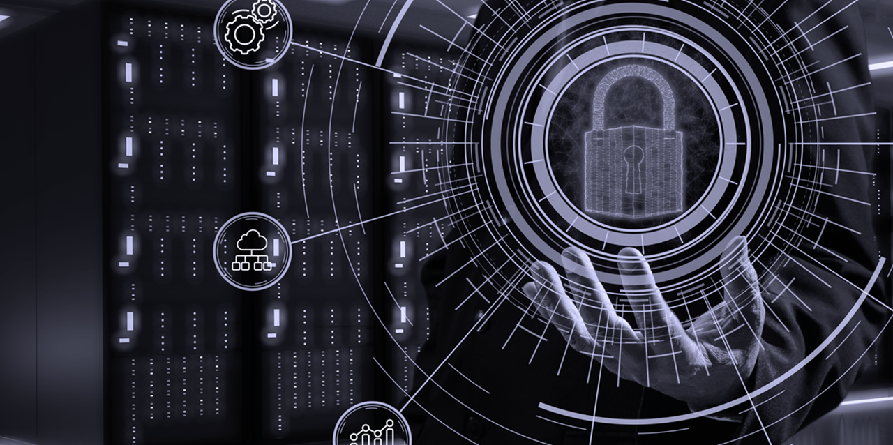 Data Security Platform: Securing the Digital Perimeter